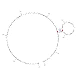 Secondary Structure - Anti-EGFR VIII Aptamer [U19] (Biotin) (A320977) - Antibodies.com