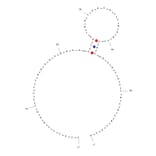 Secondary Structure - Anti-IFN gamma Aptamer [B1-4] (Biotin) (A320992) - Antibodies.com