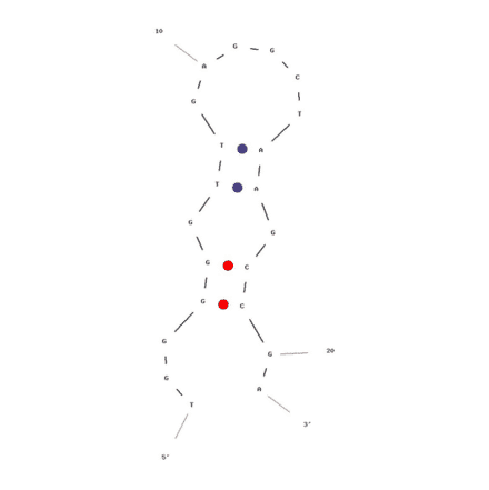 Secondary Structure - Anti-Kanamycin Aptamer (Biotin) (A320995) - Antibodies.com