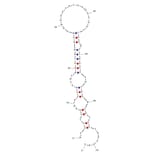 Secondary Structure - Anti-N-epsilon-p-nosyl-l-lysine (PSL) Aptamer [M13a] (Biotin) (A320998) - Antibodies.com