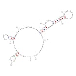 Secondary Structure - Anti-Atrazine Aptamer [R12.23] (Biotin) (A321009) - Antibodies.com