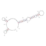 Secondary Structure - Anti-Atrazine Aptamer [R12.28] (Biotin) (A321010) - Antibodies.com