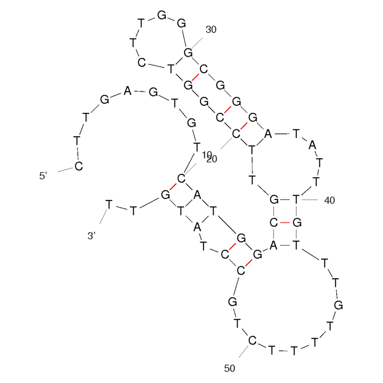 Secondary Structure - Anti-Botulinum Neurotoxin Type A / BoNT A Light Chain Aptamer (Biotin) (A321020) - Antibodies.com