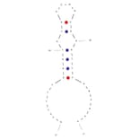 Secondary Structure - Anti-Heparanase / HPSE1 Aptamer [1.5 M Short] (Biotin) (A321023) - Antibodies.com