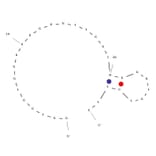 Secondary Structure - Anti-Insulin Aptamer [IBA] (Biotin) (A321027) - Antibodies.com