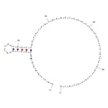 Secondary Structure - Anti-Plasminogen Activator Inhibitor 1 Aptamer [PAI-1 01] (Biotin) (A321031) - Antibodies.com