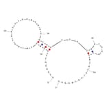 Secondary Structure - Anti-4-1BBL Aptamer (Biotin) (A321032) - Antibodies.com
