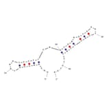 Secondary Structure - Anti-Cocaine Aptamer (Biotin) (A321033) - Antibodies.com