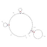 Secondary Structure - Anti-Hemoglobin Aptamer (Biotin) (A321035) - Antibodies.com