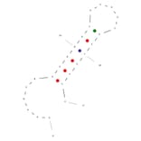 Secondary Structure - Anti-Peptidoglycan Aptamer [Antibac1] (Biotin) (A321045) - Antibodies.com