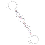 Secondary Structure - Anti-Glucagon Receptor Aptamer [GR-3] (Biotin) (A321047) - Antibodies.com