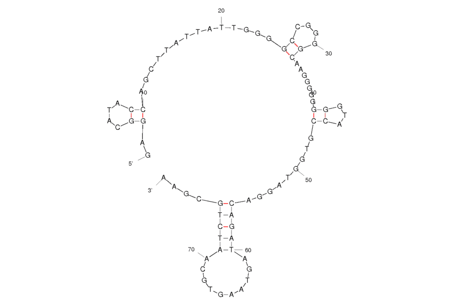 Secondary Structure - Anti-c-Kit Aptamer [1-F] (Biotin) (A321048) - Antibodies.com