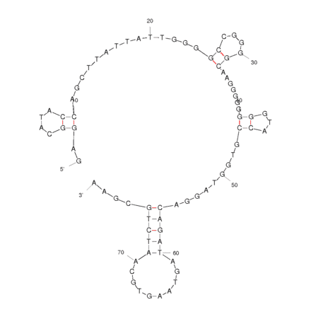 Secondary Structure - Anti-c-Kit Aptamer [1-F] (Biotin) (A321048) - Antibodies.com