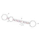 Secondary Structure - Anti-SARS-CoV-2 Spike Glycoprotein RBD Aptamer [Aptamer 1C] (Biotin) (A321056) - Antibodies.com