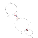 Secondary Structure - Anti-SARS-CoV-2 Spike Glycoprotein RBD Aptamer (Biotin) (A321058) - Antibodies.com