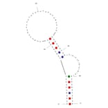 Secondary Structure - Anti-VEGF 165 Aptamer (Biotin) (A321062) - Antibodies.com