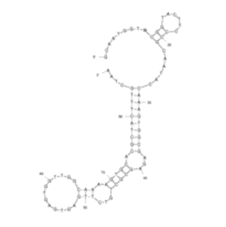 Secondary Structure - Anti-E. coli Aptamer [20-7] (Biotin) (A321063) - Antibodies.com