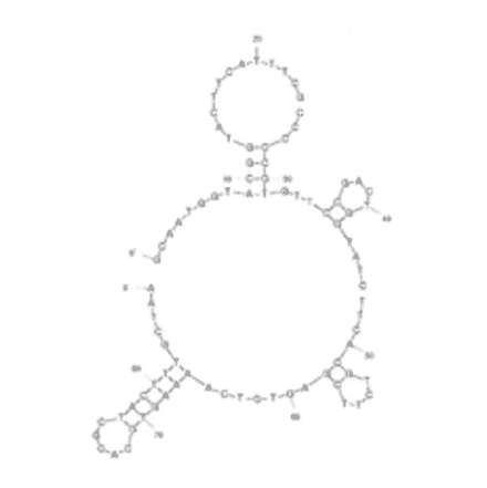 Secondary Structure - Anti-E. coli Aptamer [20-5] (Biotin) (A321064) - Antibodies.com