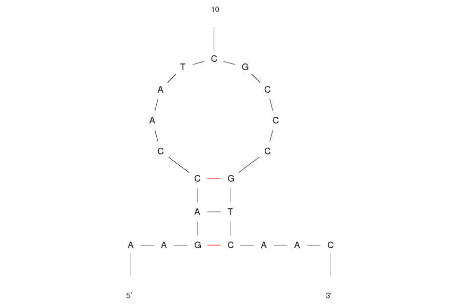 Secondary Structure - Anti-C Reactive Protein Aptamer (Biotin) (A321065) - Antibodies.com