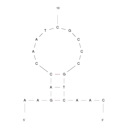 Secondary Structure - Anti-C Reactive Protein Aptamer (Biotin) (A321065) - Antibodies.com