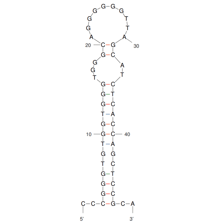 Secondary Structure - Anti-CD19 Aptamer [C10] (Biotin) (A321067) - Antibodies.com