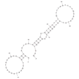 Secondary Structure - Anti-SHP2 Aptamer [21st clone] (Biotin) (A321072) - Antibodies.com