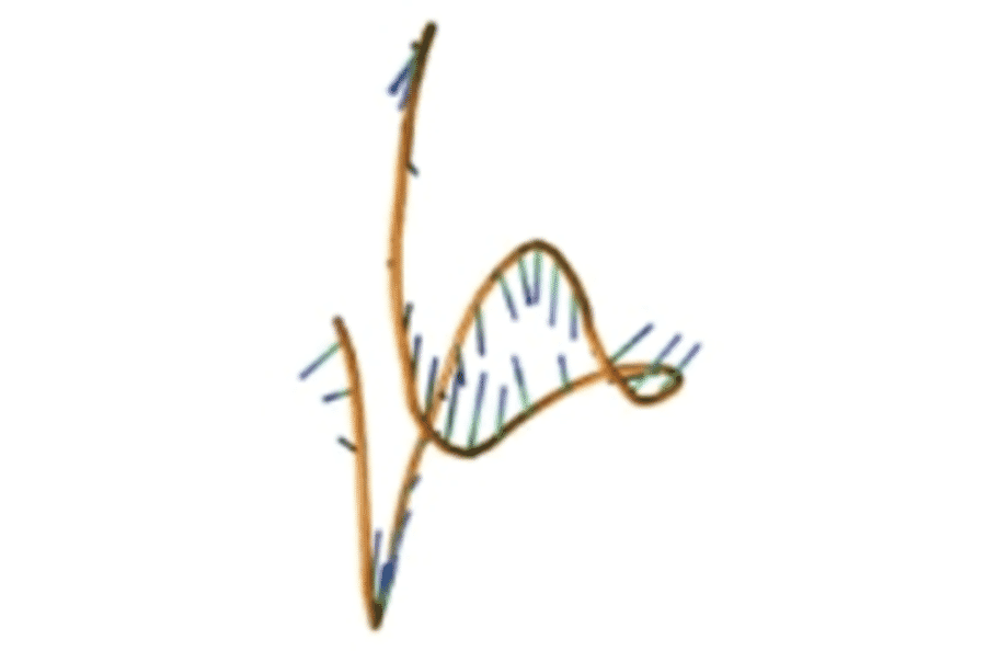 Tertiary Structure - Anti-EpCAM Aptamer [SYL-H2C] (Biotin) (A321075) - Antibodies.com