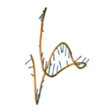 Tertiary Structure - Anti-EpCAM Aptamer [SYL-H2C] (Biotin) (A321075) - Antibodies.com