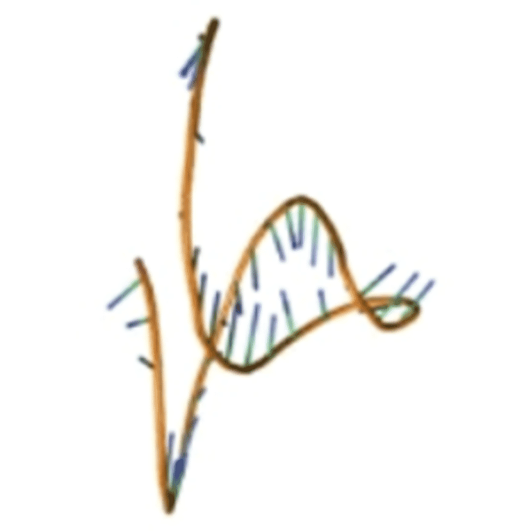 Tertiary Structure - Anti-EpCAM Aptamer [SYL-H2C] (Biotin) (A321075) - Antibodies.com