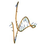 Tertiary Structure - Anti-EpCAM Aptamer [SYL-H2C] (Biotin) (A321075) - Antibodies.com