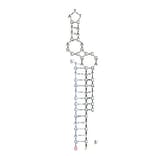 Secondary Structure - Anti-Glucose Aptamer (Biotin) (A321076) - Antibodies.com