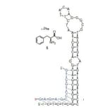 Secondary Structure - Anti-Phenylalanine Aptamer (Biotin) (A321079) - Antibodies.com
