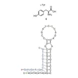 Secondary Structure - Anti-Tyrosine Aptamer (Biotin) (A321080) - Antibodies.com