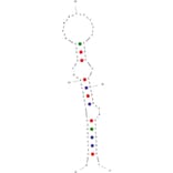 Secondary Structure - Anti-N Cadherin Aptamer [NS13] (Biotin) (A321095) - Antibodies.com