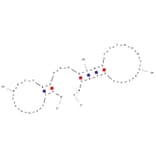 Secondary Structure - Anti-Rituximab Aptamer [C10] (Biotin) (A321097) - Antibodies.com