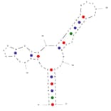 Secondary Structure - Anti-HepG2 + SMMC-7721 Cell Lines Aptamer [Apt-07S] (Biotin) (A321110) - Antibodies.com