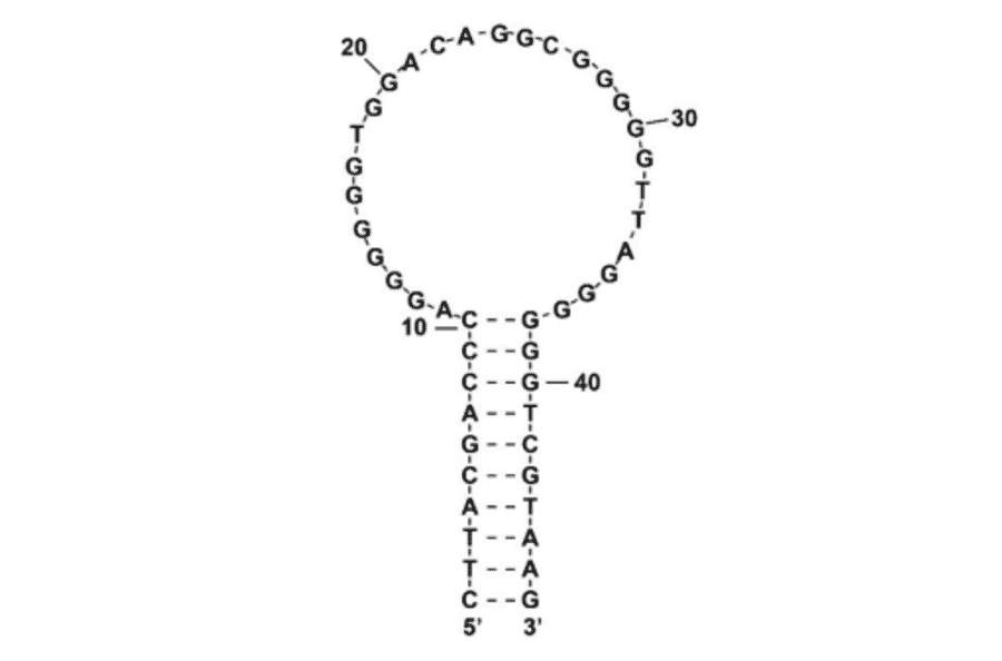Secondary Structure - Anti-THC Aptamer [THC1.2] (Biotin) (A321128) - Antibodies.com