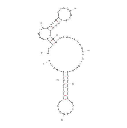 Secondary Structure - Anti-SARS-CoV-2 Spike Glycoprotein RBD Aptamer [Aptamer-6 ] (Biotin) (A321139) - Antibodies.com