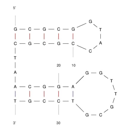 Secondary Structure - Anti-Transferrin Receptor + EpCAM Aptamer [TEPP] (Biotin) (A321143) - Antibodies.com