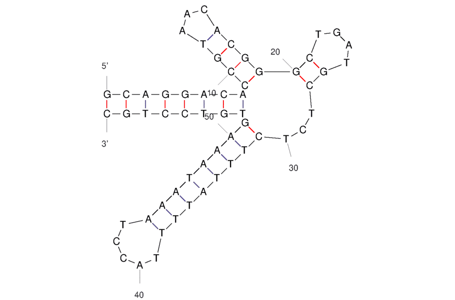 Secondary Structure - Anti-Lactoferrin Aptamer [YFL-4] (Biotin) (A321147) - Antibodies.com