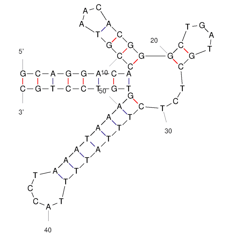 Secondary Structure - Anti-Lactoferrin Aptamer [YFL-4] (Biotin) (A321147) - Antibodies.com