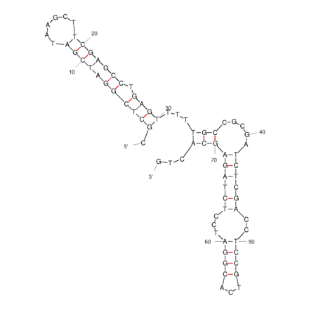 Secondary Structure - Anti-Ovarian Cancer Tumor Cells Aptamer [T3 ] (Biotin) (A321149) - Antibodies.com