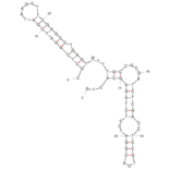 Secondary Structure - Anti-Ovarian Cancer Tumor Cells Aptamer [T3 ] (Biotin) (A321149) - Antibodies.com