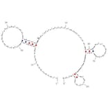 Secondary Structure - Anti-Colorectal Cancer Serum Aptamer [Seq-2] (Biotin) (A321151) - Antibodies.com