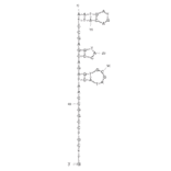 Secondary Structure - Anti-E. coli Aptamer [EC1] (Biotin) (A321161) - Antibodies.com