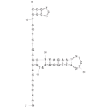 Secondary Structure - Anti-Listeria monocytogenes Aptamer [LM3] (Biotin) (A321162) - Antibodies.com