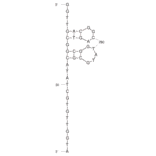 Secondary Structure - Anti-Collagen X1 alpha 1 Aptamer [D1] (Biotin) (A321163) - Antibodies.com