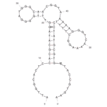 Secondary Structure - Anti-alpha Conotoxin MI Aptamer (Biotin) (A321164) - Antibodies.com