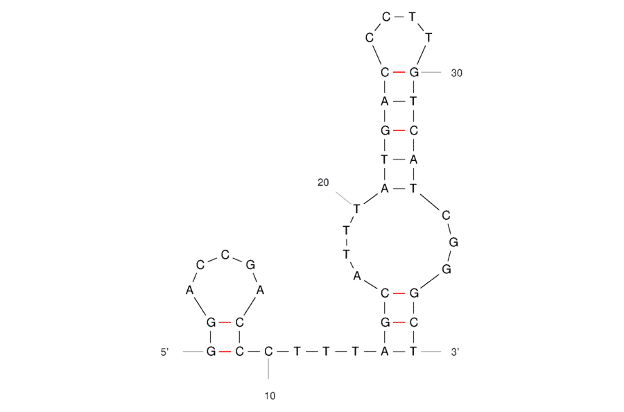 Secondary Structure - Anti-Ancrod Aptamer (Biotin) (A321166) - Antibodies.com