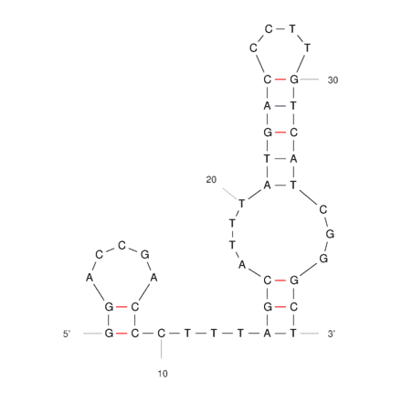 Secondary Structure - Anti-Ancrod Aptamer (Biotin) (A321166) - Antibodies.com